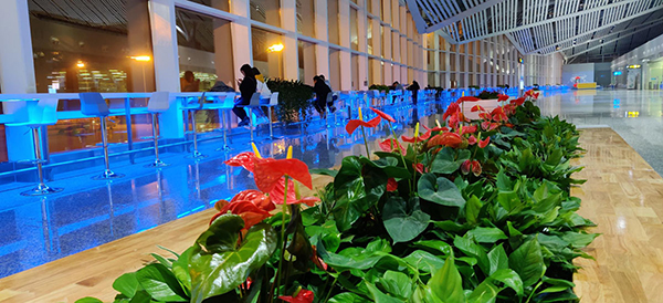 1573444563495942.jpg 3.jpg